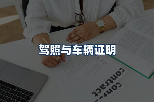 车辆证明展示