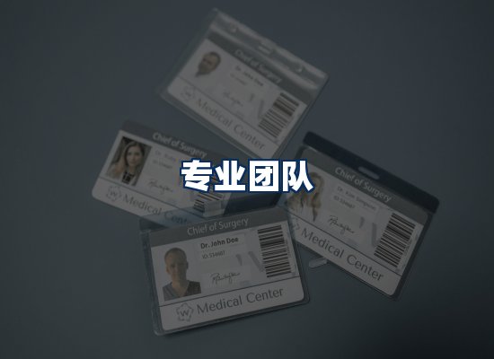 专业团队